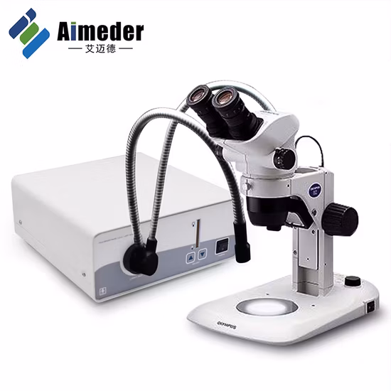 동물 또는 식물 원료 효소분해 40%