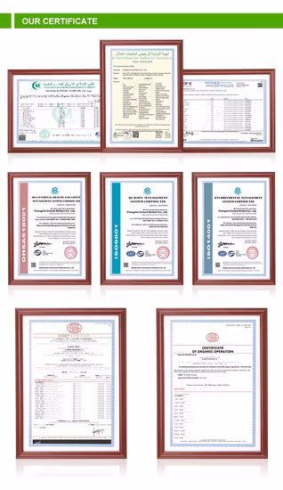 Comext Halal Kosher 제조업체 단백질, 비타민, 미네랄, 카로티노이드 및 항산화제가 함유된 식용 남조류 스피루리나 분말